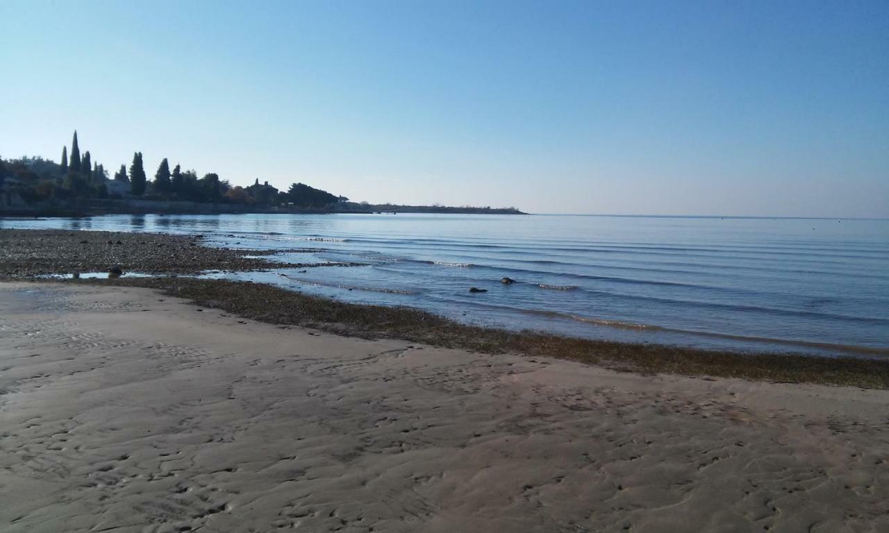 Delfin * Novigrad (Istria)