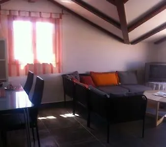 Delfin Apartment Novigrad  Exterior photo