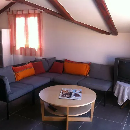 Delfin Apartment Novigrad  Exterior photo