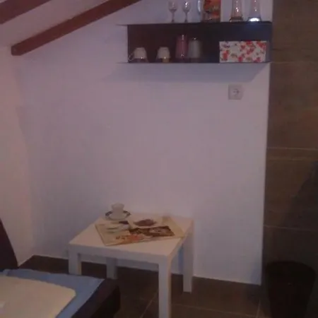 Delfin Apartment Novigrad  Exterior photo