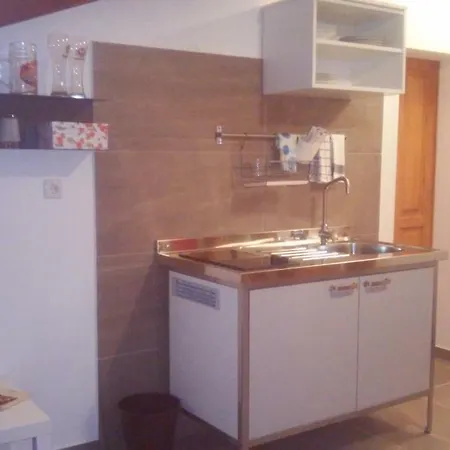 Delfin Apartment Novigrad  Exterior photo