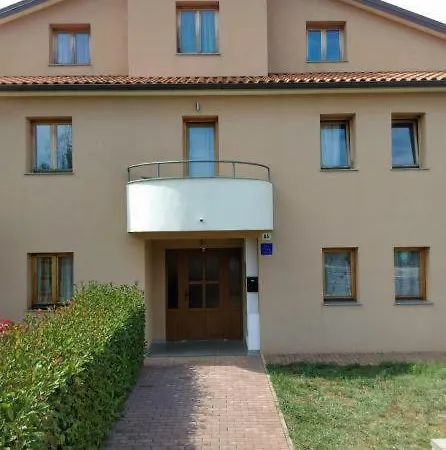 Delfin Apartment Novigrad  Exterior photo