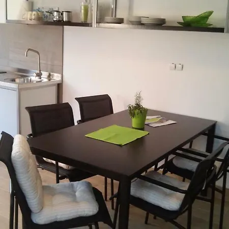 Delfin Apartment Novigrad  Exterior photo