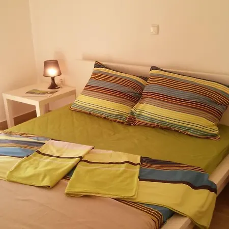 Delfin Apartment Novigrad  Exterior photo