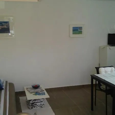 Delfin Apartment Novigrad  Exterior photo