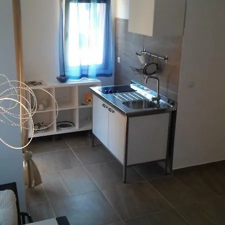 Delfin Apartment Novigrad  Exterior photo