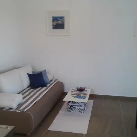 Delfin Apartment Novigrad  Exterior photo