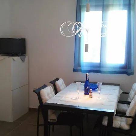 Delfin Apartment Novigrad  Exterior photo