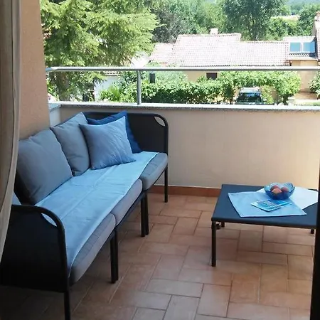 Delfin Apartment Novigrad  Exterior photo