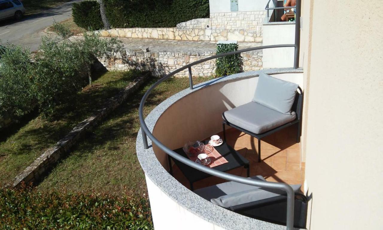 Delfin Novigrad (Istria)